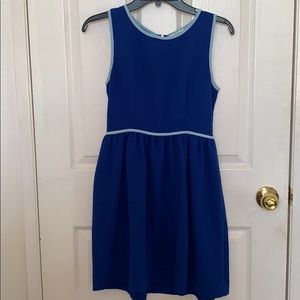 Casual Sleeveless Soprano Skater Dress